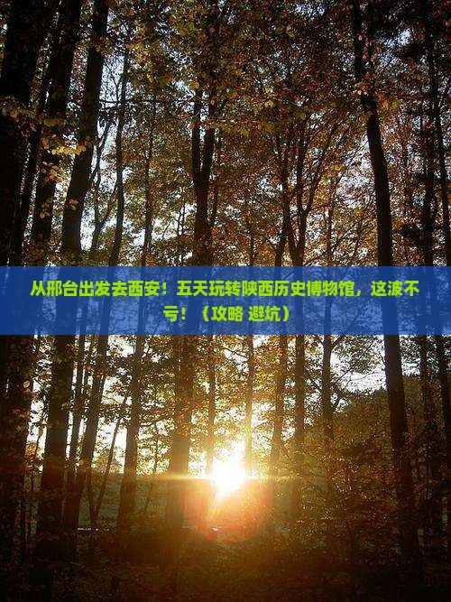 邢台去西安陕西历史博物馆五日游