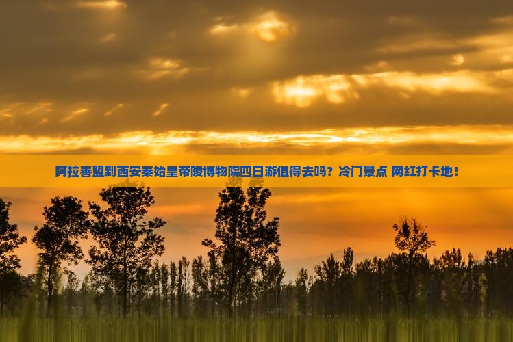 阿拉善盟到西安秦始皇帝陵博物院四日游