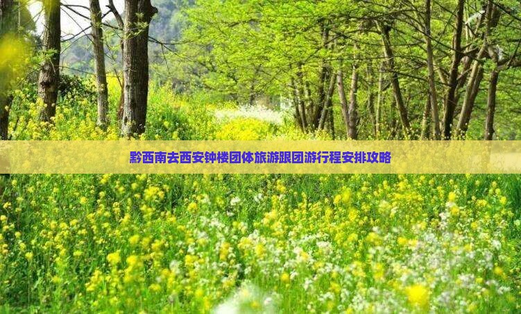 黔西南去西安钟楼团体旅游