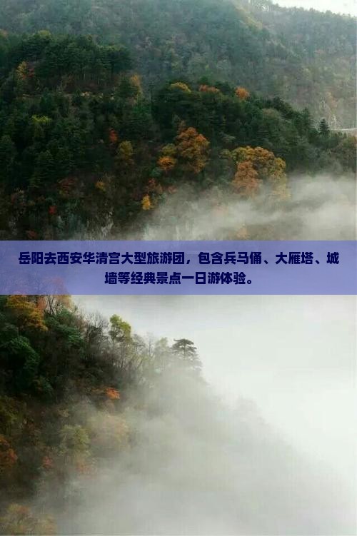 岳阳去西安华清宫大型旅游团