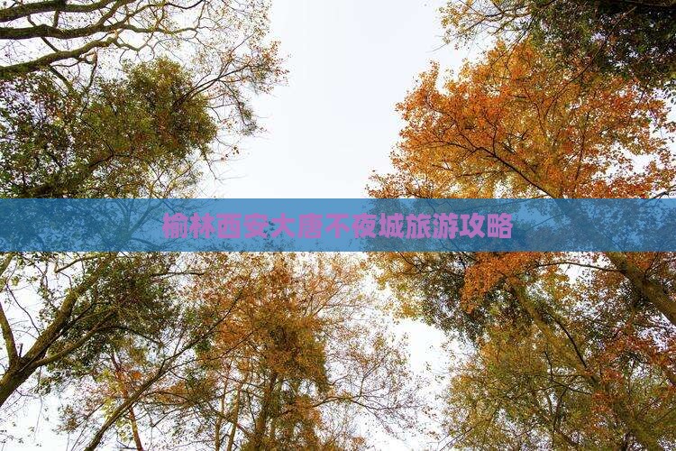 榆林去西安大唐不夜城旅游