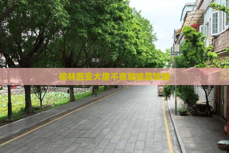 榆林去西安大唐不夜城旅游