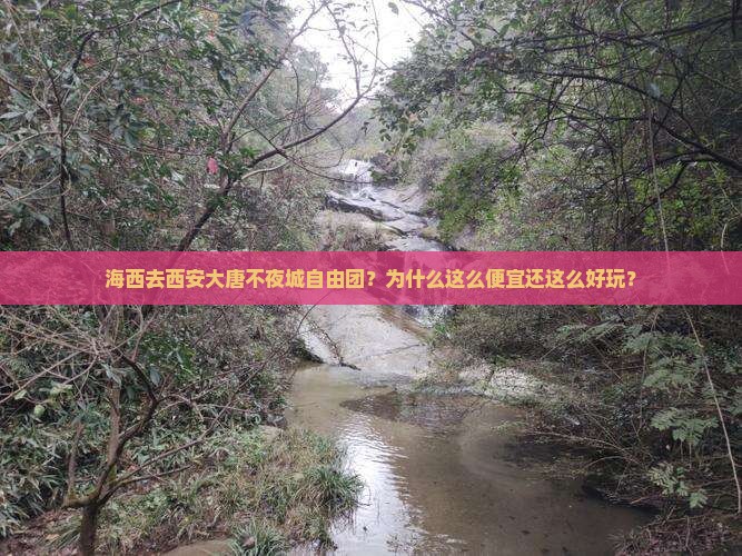 海西去西安大唐不夜城自由团