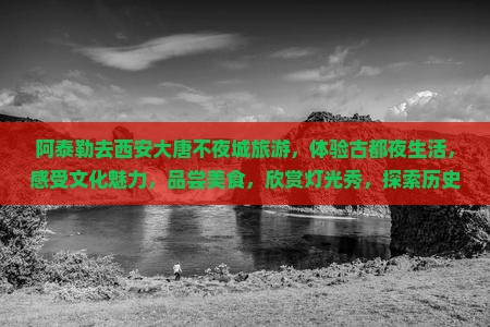 阿泰勒去西安大唐不夜城旅游