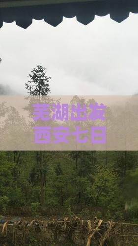 芜湖到西安回民街七日游