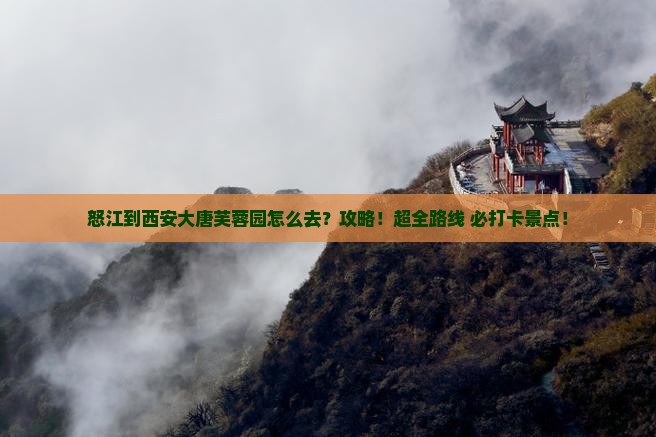怒江到西安大唐芙蓉园攻略
