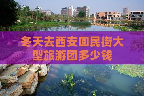冬天去西安回民街大型旅游团