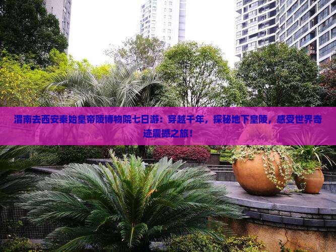 渭南去西安秦始皇帝陵博物院七日游