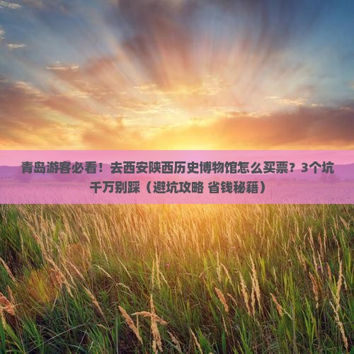 青岛去西安陕西历史博物馆门票