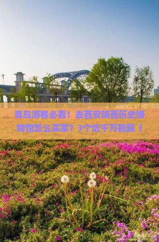 青岛去西安陕西历史博物馆门票