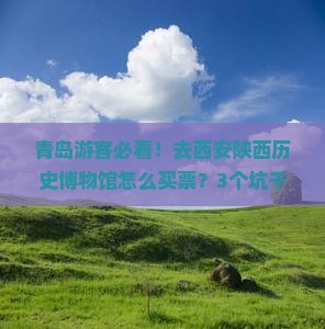 青岛去西安陕西历史博物馆门票
