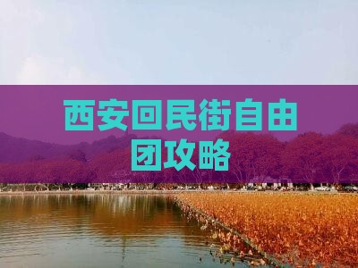 西安到西安回民街自由团