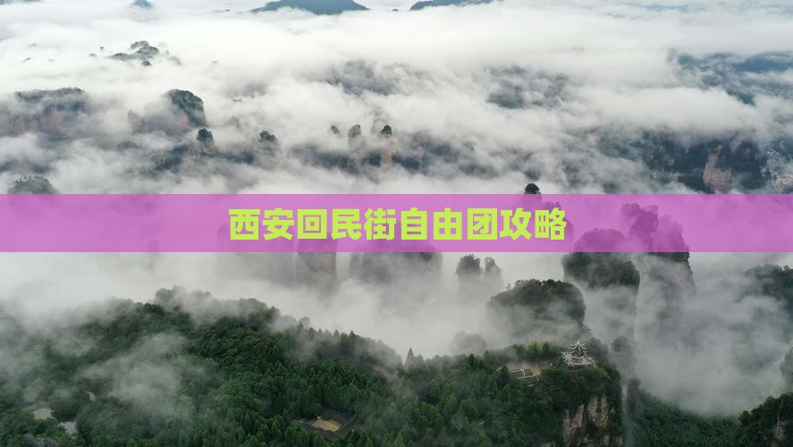 西安到西安回民街自由团