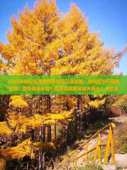武夷山去西安回民街四日游