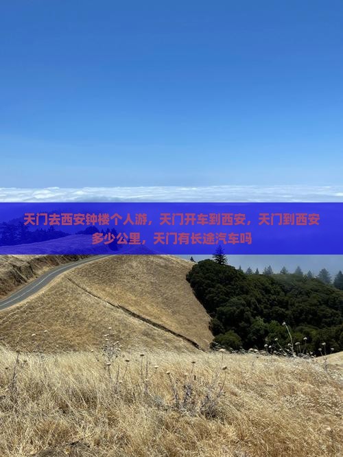 天门去西安钟楼个人游