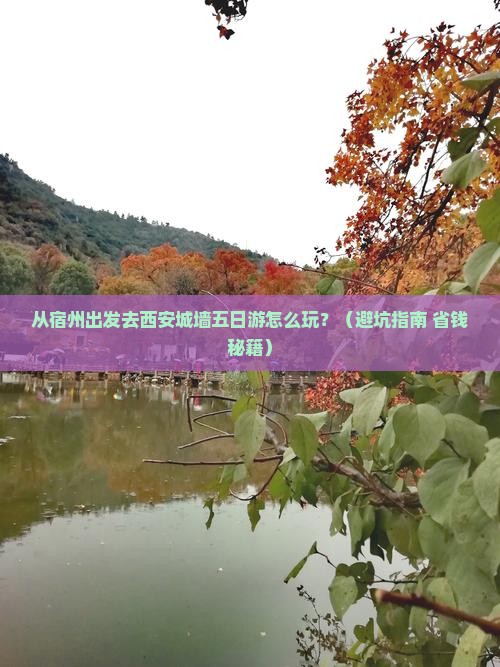 宿州去西安城墙五日游