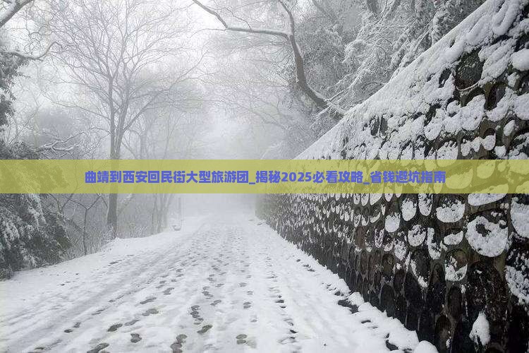 曲靖到西安回民街大型旅游团