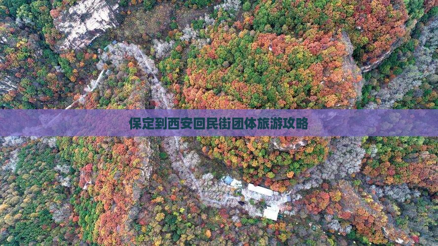 保定到西安回民街团体旅游