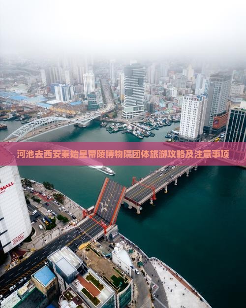 河池去西安秦始皇帝陵博物院团体旅游