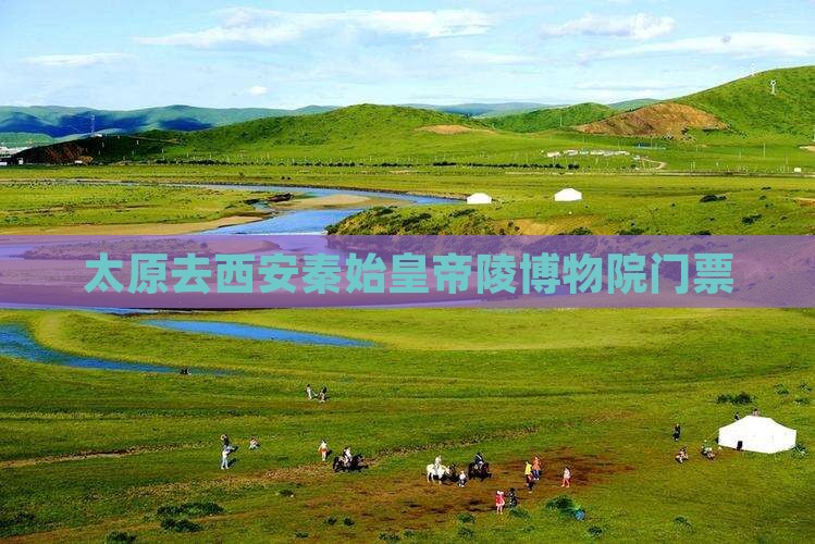 太原去西安秦始皇帝陵博物院门票