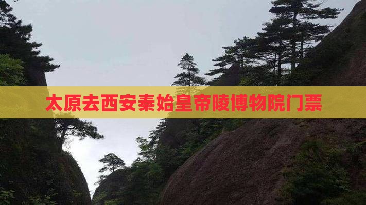太原去西安秦始皇帝陵博物院门票
