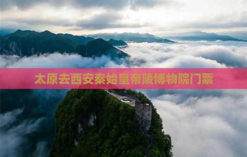 太原去西安秦始皇帝陵博物院门票
