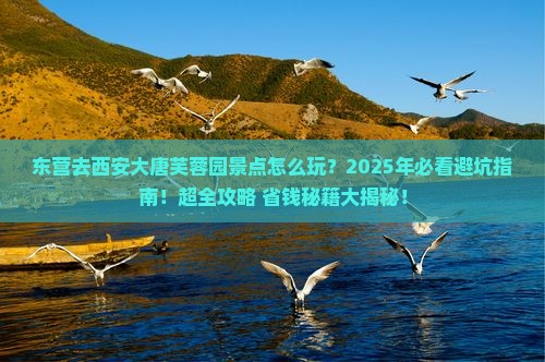 东营去西安大唐芙蓉园景点