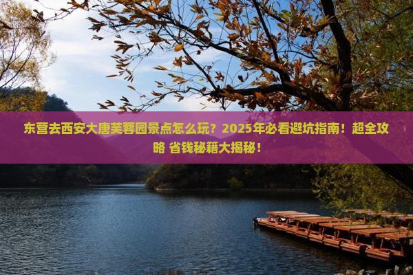 东营去西安大唐芙蓉园景点