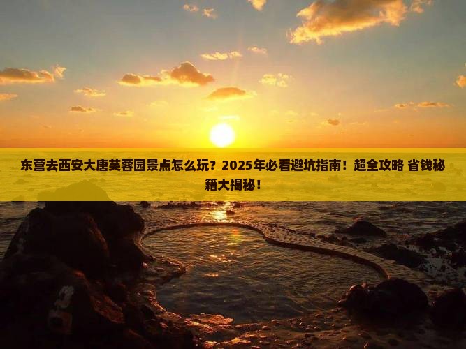 东营去西安大唐芙蓉园景点