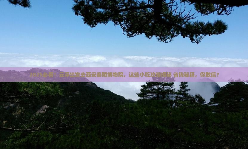 云浮去西安秦始皇帝陵博物院旅游小吃