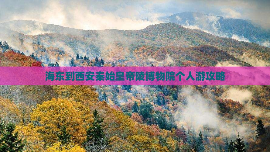海东到西安秦始皇帝陵博物院个人游