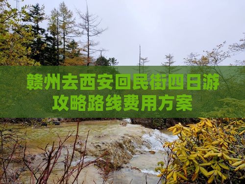 赣州去西安回民街四日游