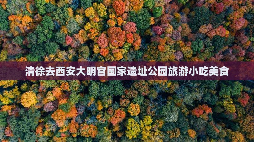 清徐去西安大明宫国家遗址公园旅游小吃