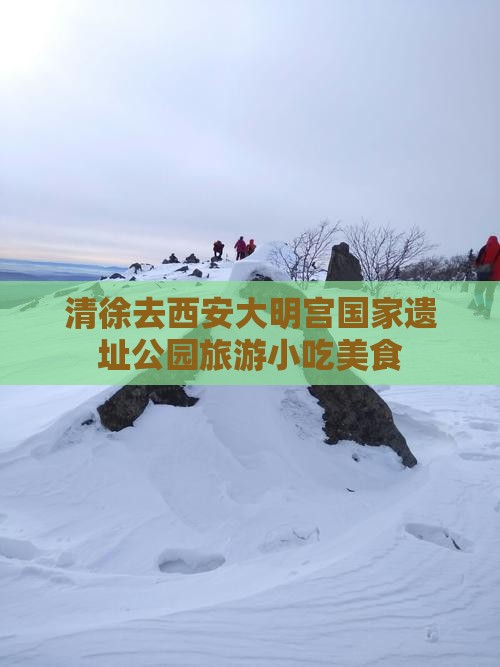 清徐去西安大明宫国家遗址公园旅游小吃