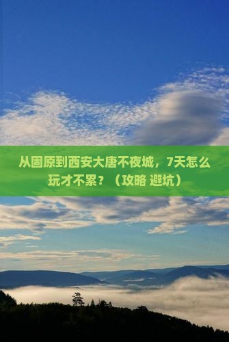 固原到西安大唐不夜城七日游