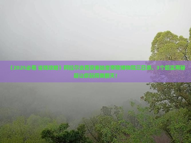 阿拉尔去西安秦始皇帝陵博物院三日游