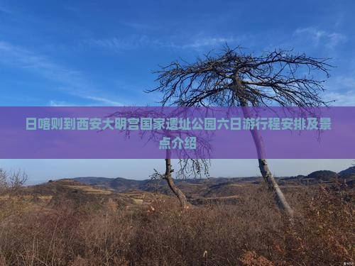 日喀则到西安大明宫国家遗址公园六日游