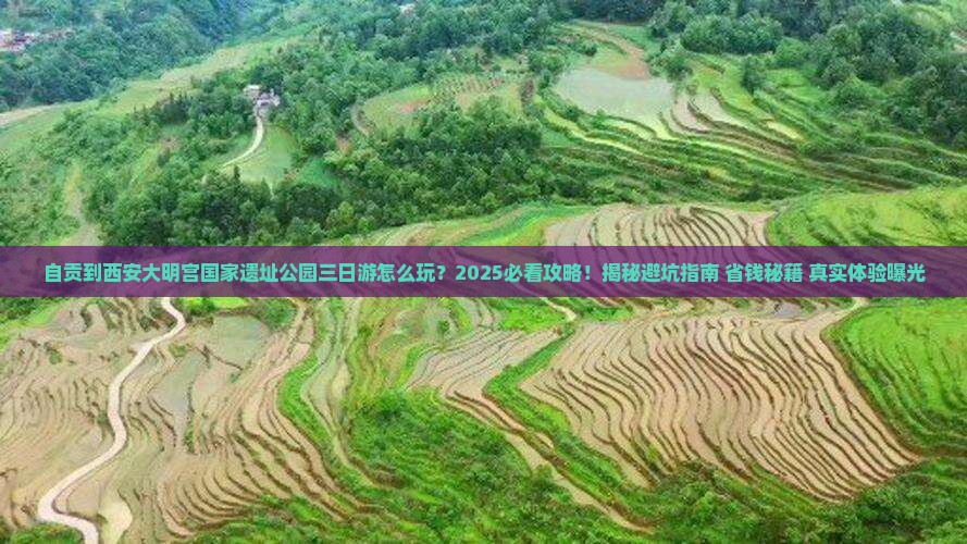 自贡到西安大明宫国家遗址公园三日游