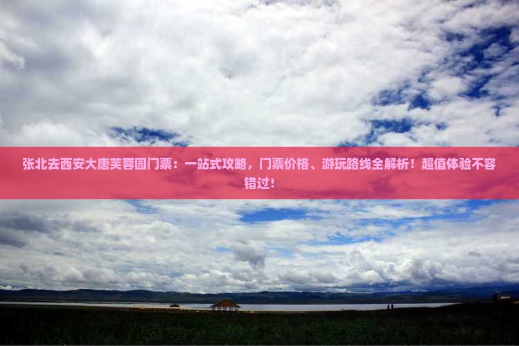 张北去西安大唐芙蓉园门票