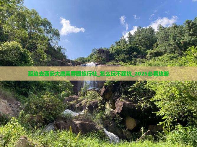 延边去西安大唐芙蓉园旅行社