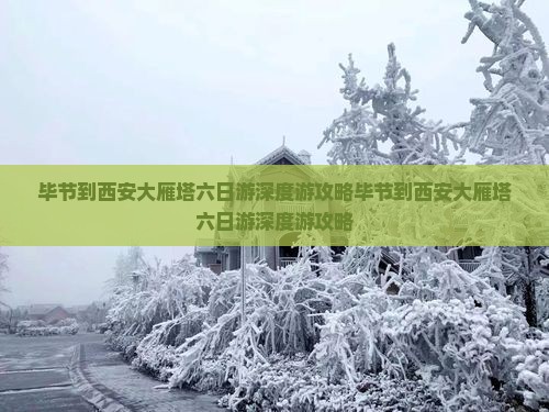 毕节到西安大雁塔六日游