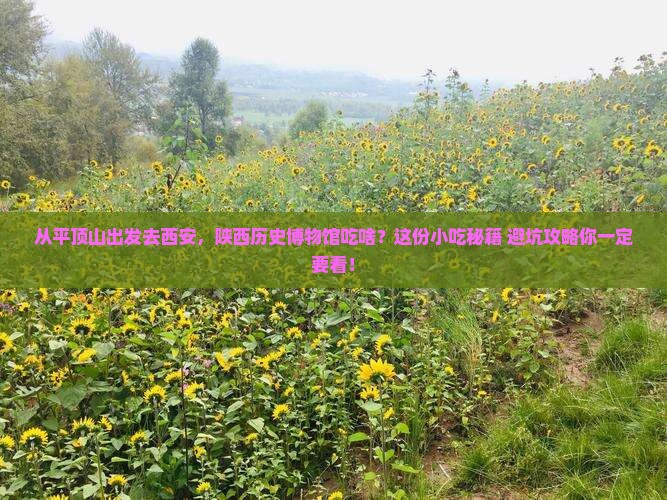 平顶山去西安陕西历史博物馆旅游小吃