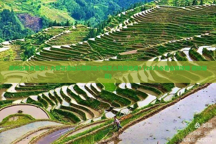 潮州到西安大明宫国家遗址公园旅游小吃