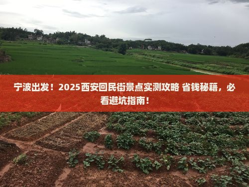 宁波去西安回民街景点