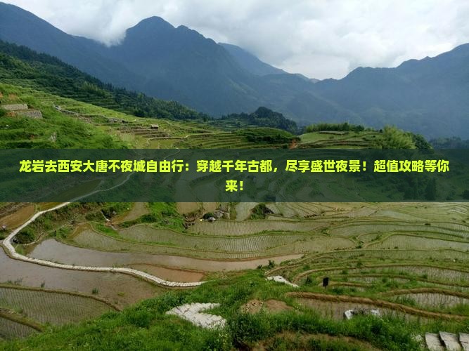 龙岩去西安大唐不夜城自由行