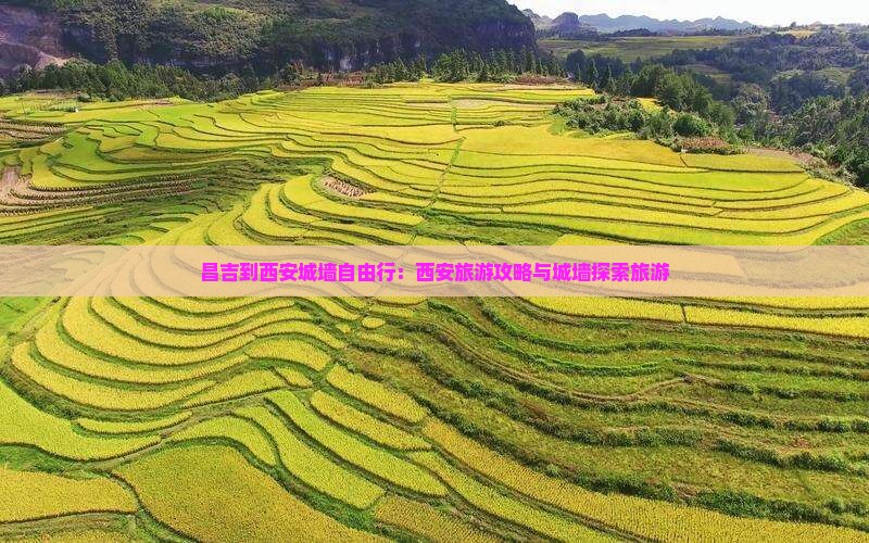 昌吉到西安城墙自由行