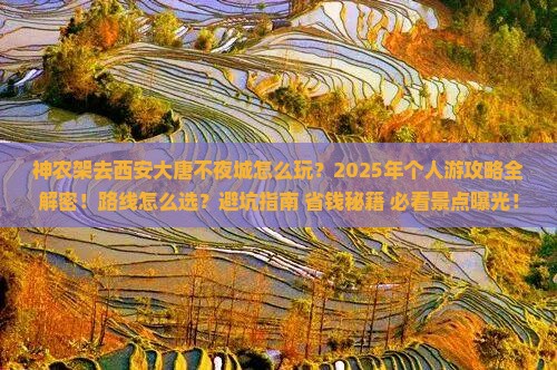 神农架去西安大唐不夜城个人游