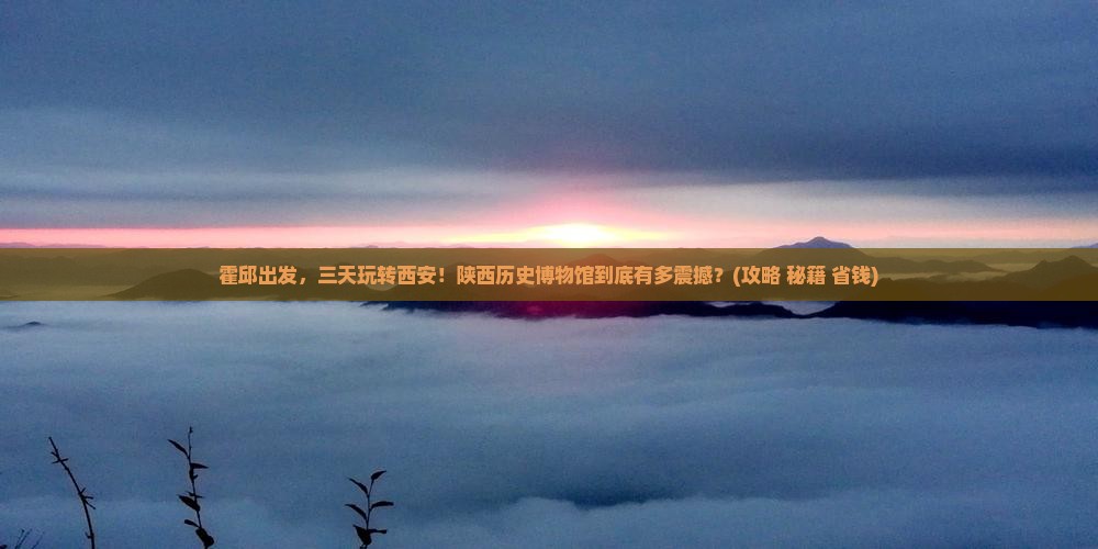 霍邱到西安陕西历史博物馆三日游