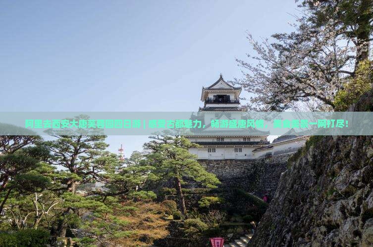 阿里去西安大唐芙蓉园四日游