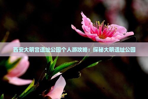西安去西安大明宫国家遗址公园个人游